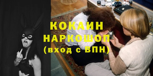 прущие крисы Ельня