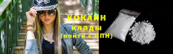 прущие крисы Ельня