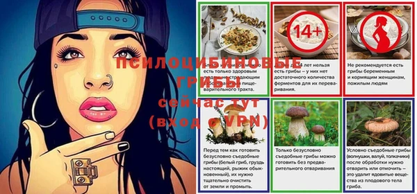 амфетамин Елизово