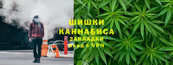 прущие крисы Ельня