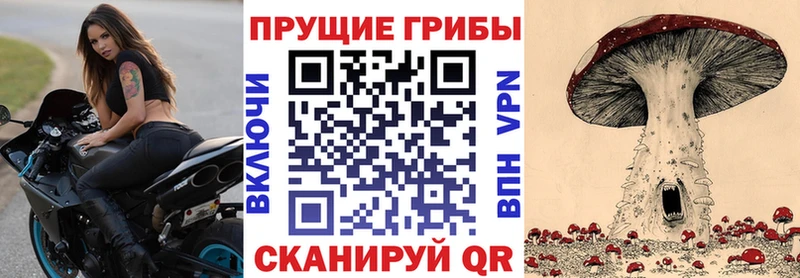 магазин продажи   Теберда  Псилоцибиновые грибы MAGIC MUSHROOMS 
